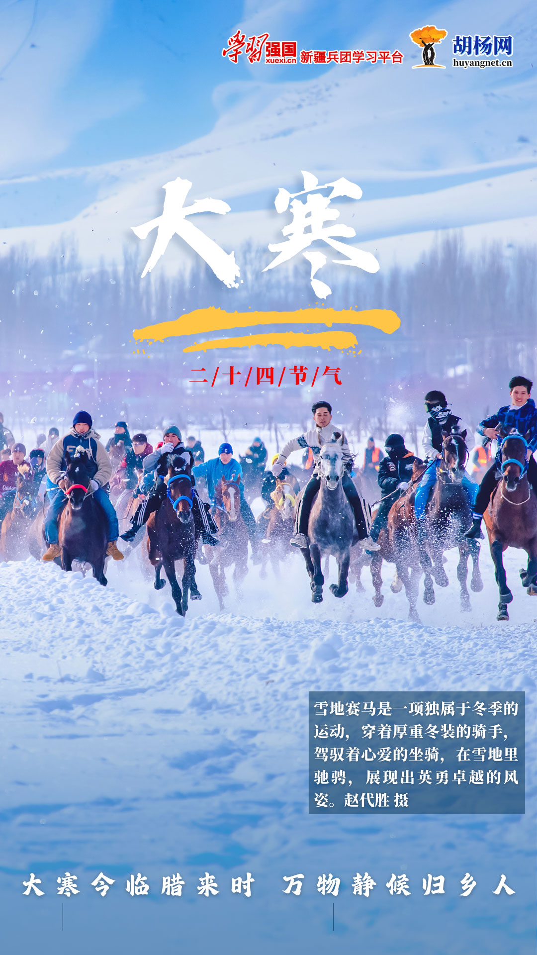 大寒丨歲末將至 靜待春歸